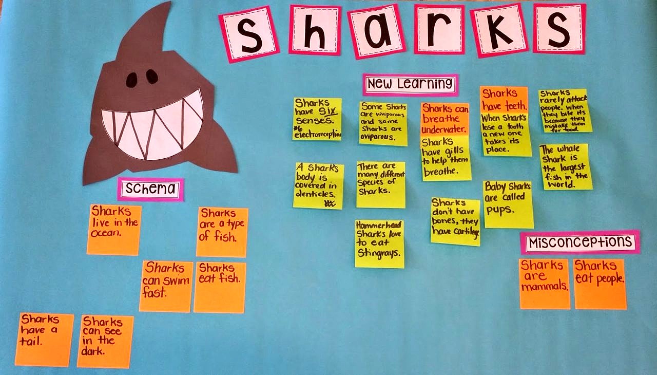 Activating Reading Schema Island Teacher